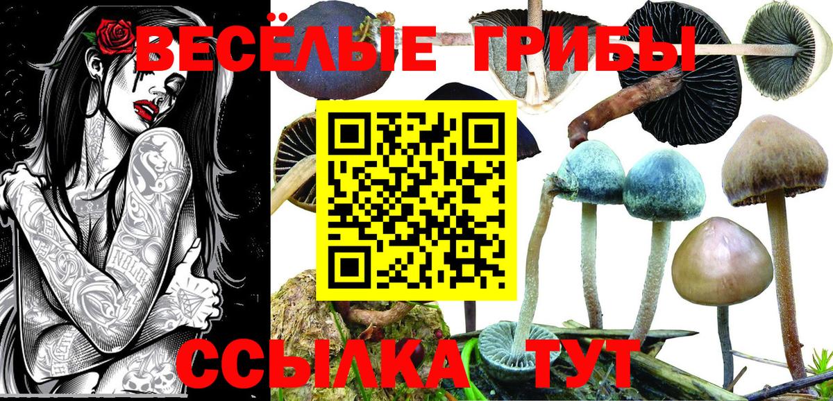 Псилоцибиновые грибы прущие грибы  Вход с VPN  Арсеньев 