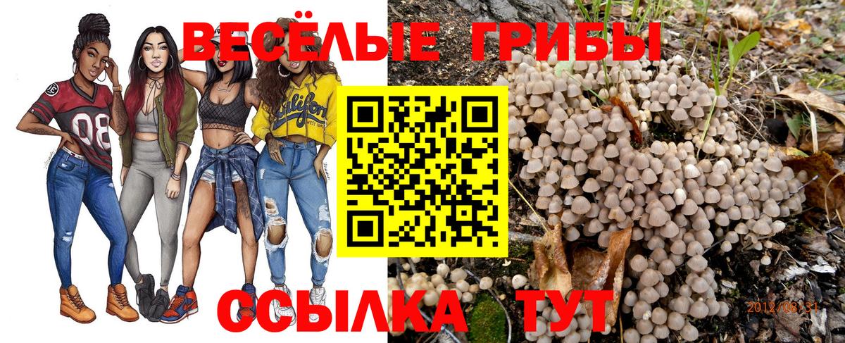 Арсеньев  Вход с VPN  Конопля  Героин  Экстази  LSD-25  Мефедрон кристаллы  Cocaine  Гашиш 
